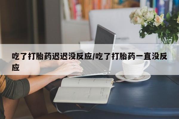 卖流产药联系方式吃了打胎药迟迟没反应/吃了打胎药一直没反应