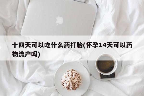 卖流产药联系方式十四天可以吃什么药打胎(怀孕14天可以药物流产吗)